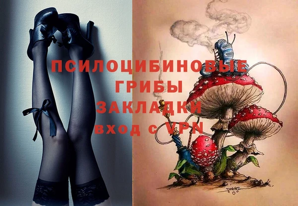 дживик Балахна