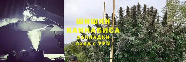 дживик Балахна