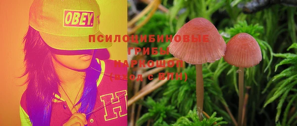 дживик Балахна